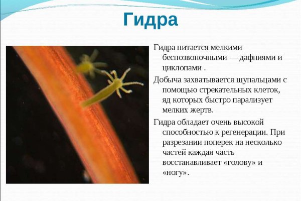 Kra50.at Вход на сайт главная страница